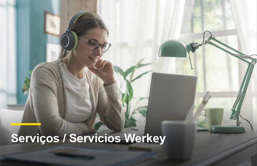 Una Hora de Servicios Técnicos Werkey