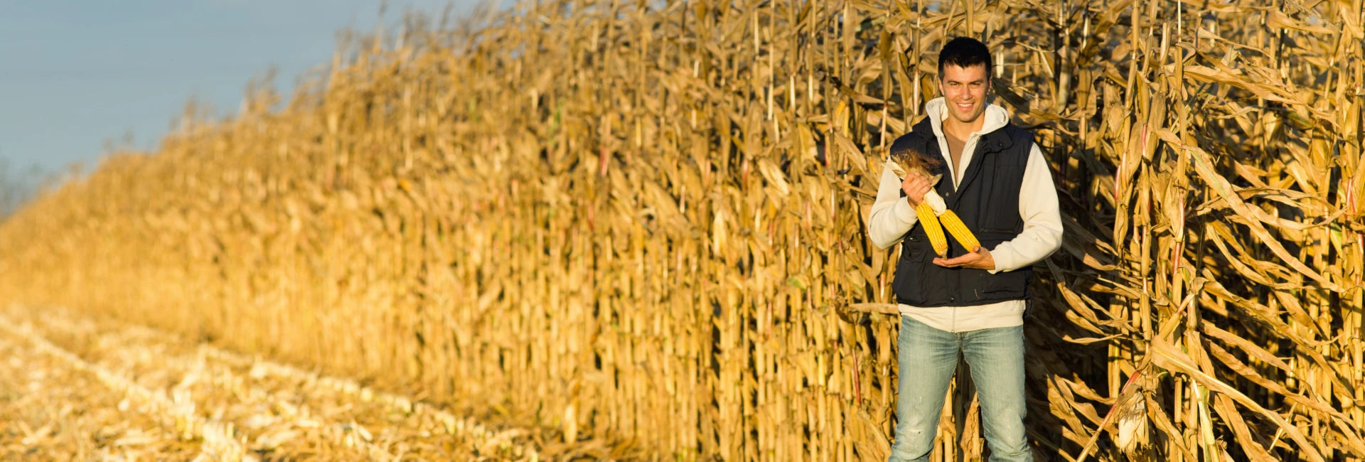Investir no treinamento de clientes é a chave para o sucesso
