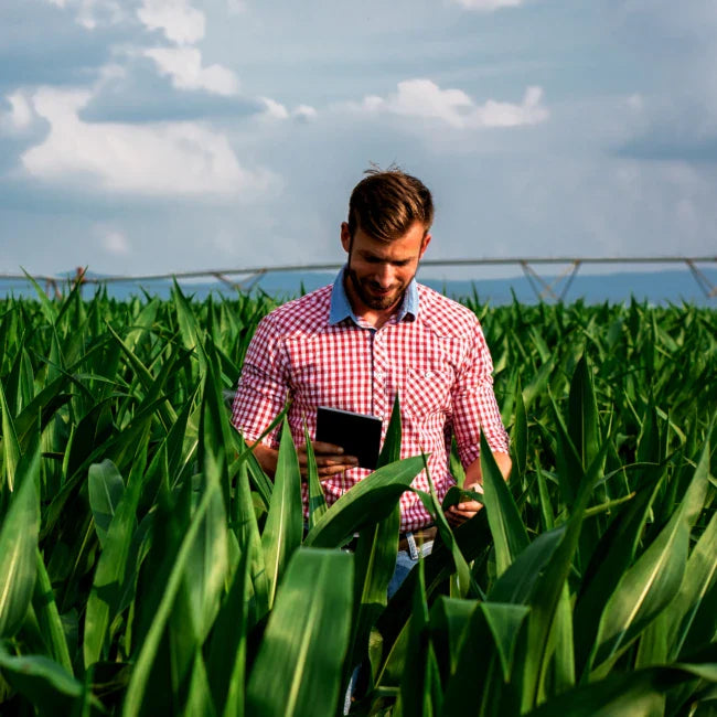 Tecnologia: o dia de uma agricultura 4.0