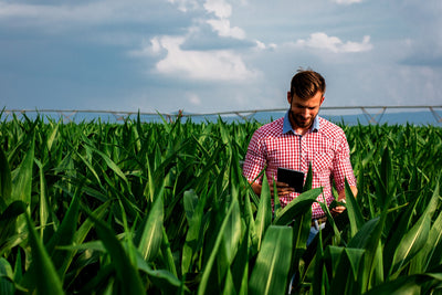 Tecnologia: o dia de uma agricultura 4.0